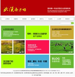 定制網(wǎng)站建設與企業(yè)營銷策劃的融合之道 以武漢南方略與騰飛立仁為例